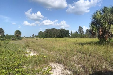 Terrain à vendre à Punta Gorda, Floride № 219708 - photo 11