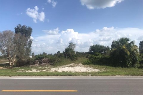 Terreno en venta en Punta Gorda, Florida № 219708 - foto 23