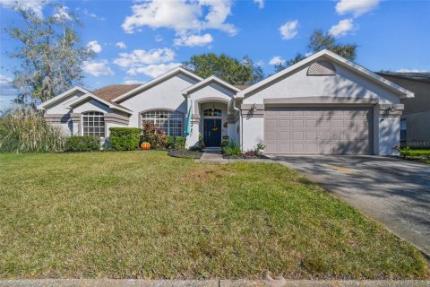 House in New Port Richey, Florida 3 bedrooms, 185.25 sq.m. № 1416542 - photo 1