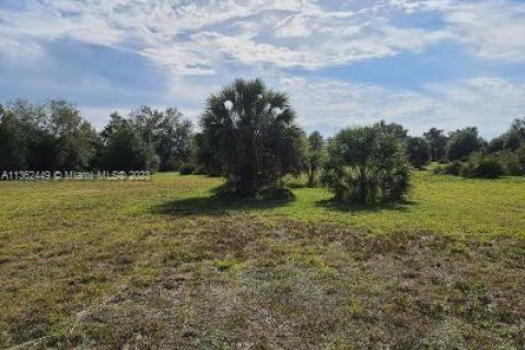 Propiedad comercial en venta en Port Charlotte, Florida № 778923 - foto 3