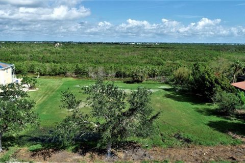 Купить земельный участок в Порт-Шарлотт, Флорида № 235926 - фото 11