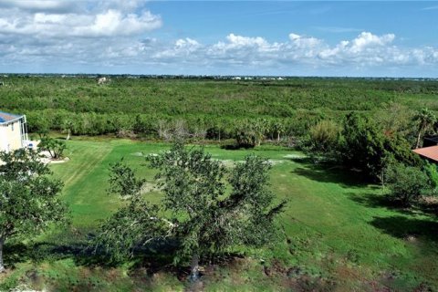 Купить земельный участок в Порт-Шарлотт, Флорида № 235926 - фото 12