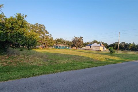 Terreno en venta en Nokomis, Florida № 1318181 - foto 1