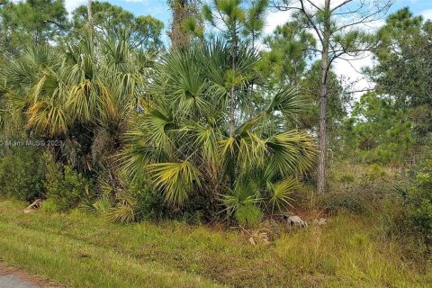 Terrain à vendre à Punta Gorda, Floride № 534338 - photo 6