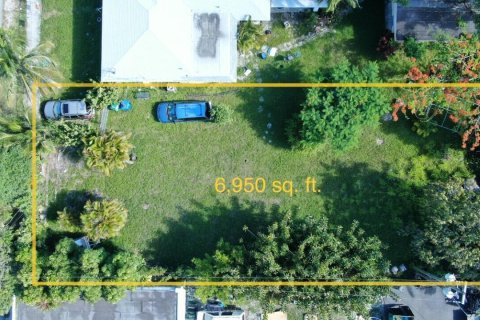 Terrain à vendre à Miami, Floride № 47816 - photo 3