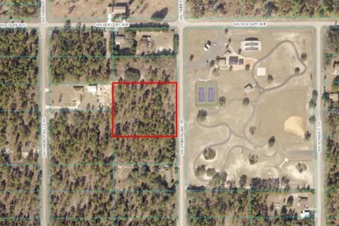 Land in Dunnellon, Florida № 1297418 - photo 1