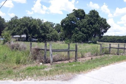 Купить земельный участок в Тампа, Флорида № 221060 - фото 19