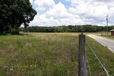 Купить земельный участок в Тампа, Флорида № 221060 - фото 21