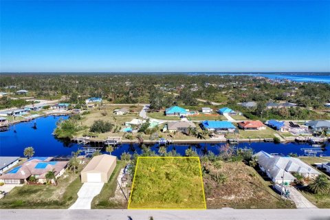 Land in Port Charlotte, Florida № 1111316 - photo 1