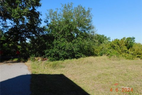 Terrain à vendre à Punta Gorda, Floride № 1111260 - photo 6