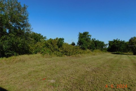 Terrain à vendre à Punta Gorda, Floride № 1111260 - photo 7