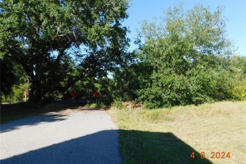 Terrain à vendre à Punta Gorda, Floride № 1111260 - photo 5