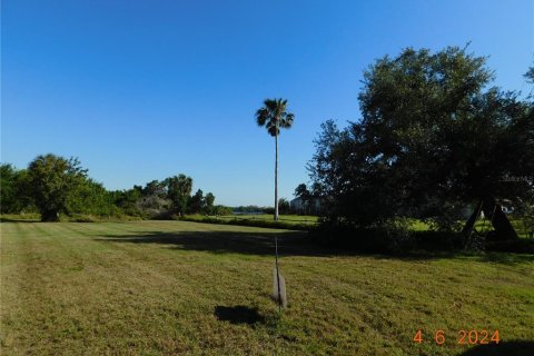 Terrain à vendre à Punta Gorda, Floride № 1111260 - photo 9