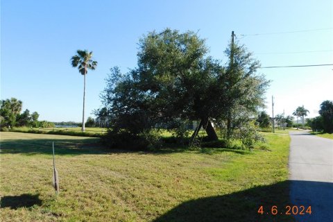 Terrain à vendre à Punta Gorda, Floride № 1111260 - photo 10