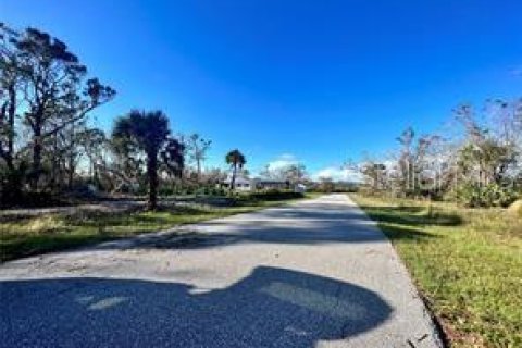 Купить земельный участок в Порт-Шарлотт, Флорида № 933723 - фото 4
