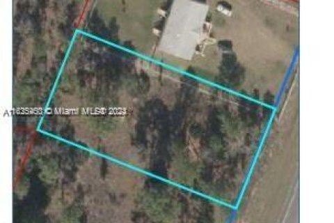 Terreno en venta en Williston, Florida № 1271755 - foto 1