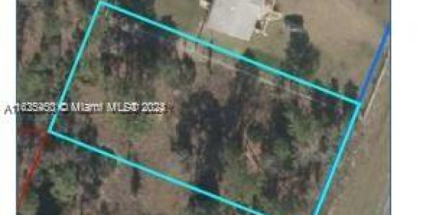 Land in Williston, Florida № 1271755