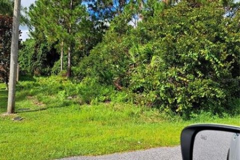 Terreno en venta en Palm Coast, Florida № 219745 - foto 5