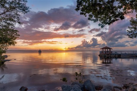 Condo in Key Largo, Florida, 2 bedrooms  № 1207222 - photo 25