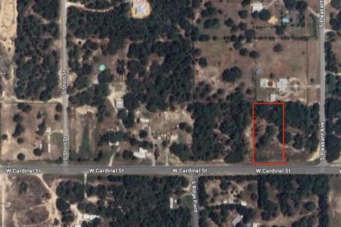 Terreno en venta en Homosassa, Florida № 1336449 - foto 1