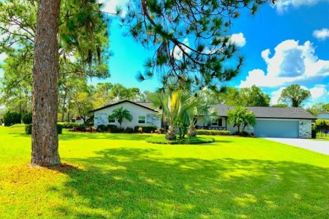 Villa ou maison à vendre à Sebring, Floride: 4 chambres, 264.77 m2 № 727166 - photo 1