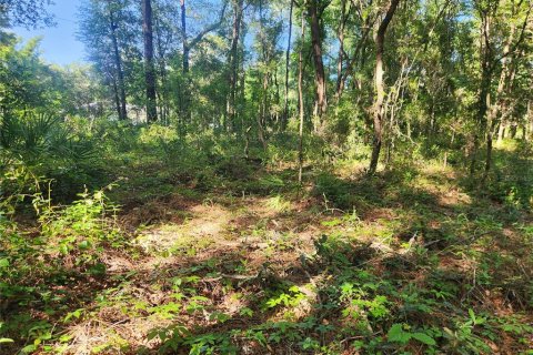 Terreno en venta en Dunnellon, Florida № 1296049 - foto 9