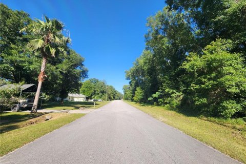 Land in Dunnellon, Florida № 1296049 - photo 2