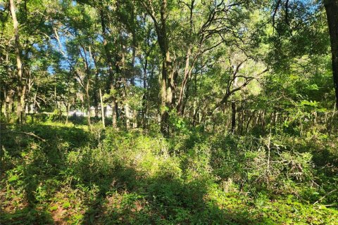 Terrain à vendre à Dunnellon, Floride № 1296049 - photo 7