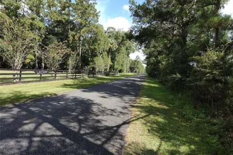 Villa ou maison à vendre à Fort MC Coy, Floride: 3 chambres, 183.3 m2 № 1349756 - photo 5