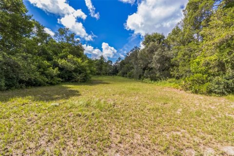 Villa ou maison à vendre à Hudson, Floride: 3 chambres, 167.6 m2 № 1346613 - photo 8