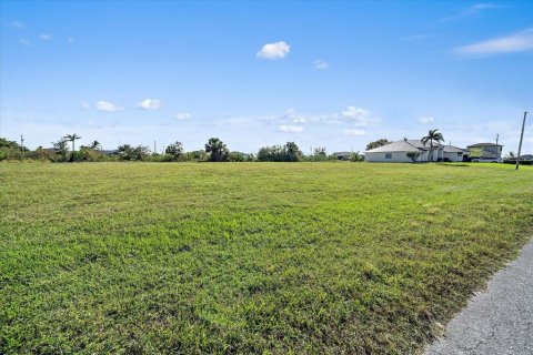 Terreno en venta en Cape Coral, Florida № 1419150 - foto 8