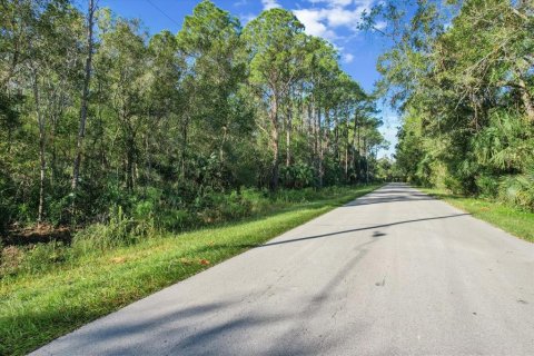 Terreno en venta en Crystal River, Florida № 1419149 - foto 9