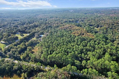 Terreno en venta en Crystal River, Florida № 1419149 - foto 4