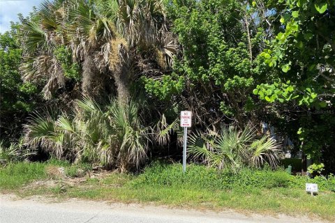 Land in New Smyrna Beach, Florida № 1301065 - photo 3