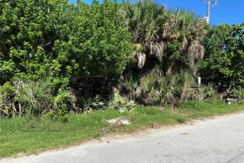 Land in New Smyrna Beach, Florida № 1301065 - photo 2