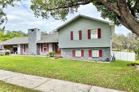 Villa ou maison à vendre à Fruitland Park, Floride: 5 chambres, 231.51 m2 № 1344121 - photo 1