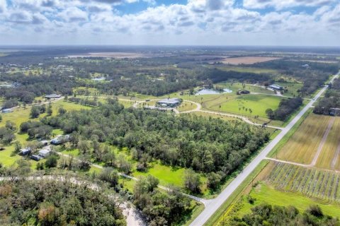 Terreno en venta en Myakka City, Florida № 1426997 - foto 6