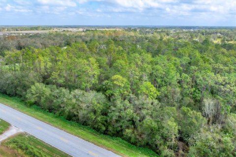 Terreno en venta en Myakka City, Florida № 1426997 - foto 14