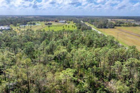 Terreno en venta en Myakka City, Florida № 1426997 - foto 21