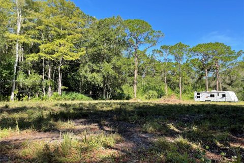 Terreno en venta en Clewiston, Florida № 1011421 - foto 3