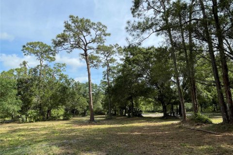 Land in Clewiston, Florida № 1011421 - photo 16