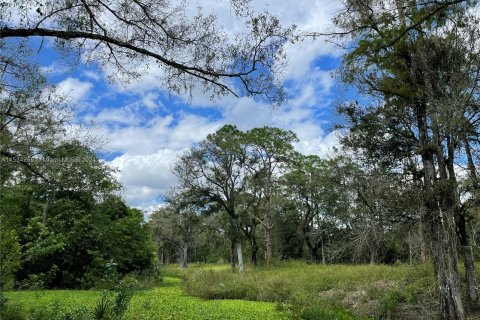 Land in Clewiston, Florida № 1011421 - photo 19
