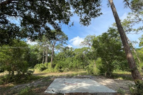 Terreno en venta en Clewiston, Florida № 1011421 - foto 15