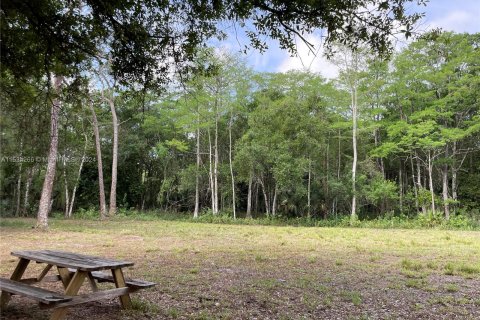 Land in Clewiston, Florida № 1011421 - photo 1