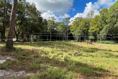 Land in Clewiston, Florida № 1011421 - photo 5