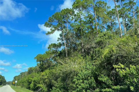 Land in Clewiston, Florida № 1011321 - photo 1