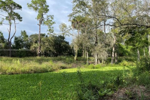 Land in Clewiston, Florida № 1011321 - photo 9