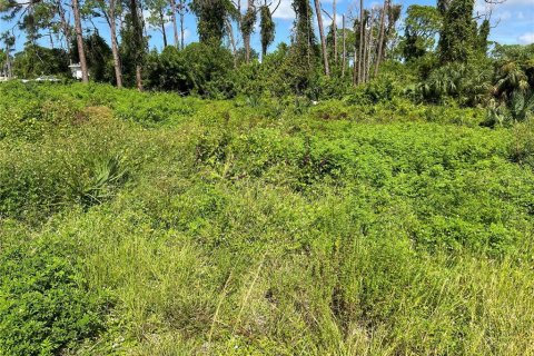 Terrain à vendre à Rotonda, Floride № 1353401 - photo 6