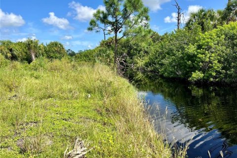 Land in Rotonda, Florida № 1353401 - photo 5