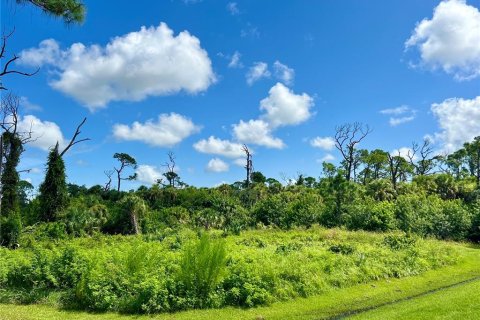 Land in Rotonda, Florida № 1353401 - photo 2